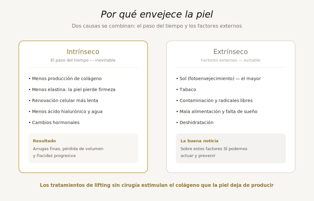 Diagrama de las causas del envejecimiento de la piel: factores intrínsecos y extrínsecos